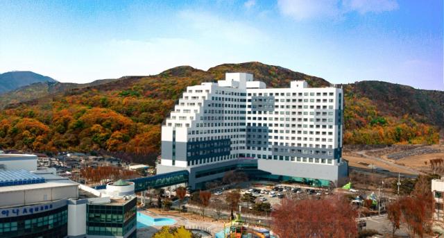 금호화순스파리조트